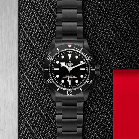41 MM PVD Steel Case. Steel Bracelet image number 2