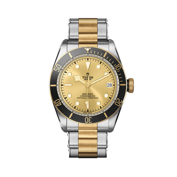 Black Bay Automatic 41 mm Yellow Gold and Stainless Steel