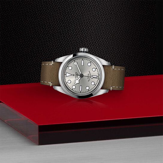 Tudor Black Bay 32 32MM Steel Case image number 3