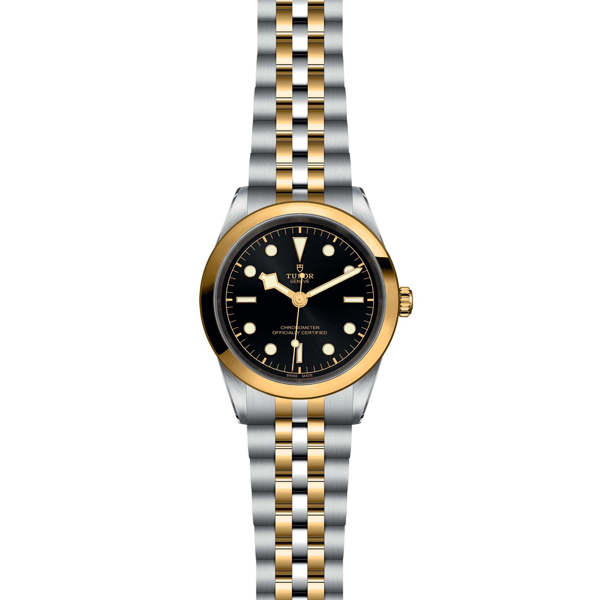 Tudor | Black Bay 41 S&G | M79683-0001 | Maison Birks