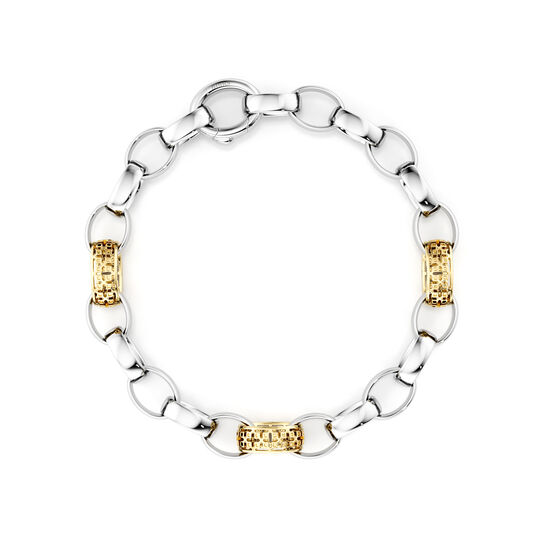 Birks Dare to Dream Yellow Gold and Sterling Silver Link Bracelet image number 0