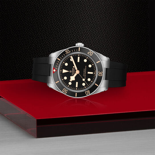 TUDOR Black Bay 58 Automatic 39 mm Stainless Steel image number 2