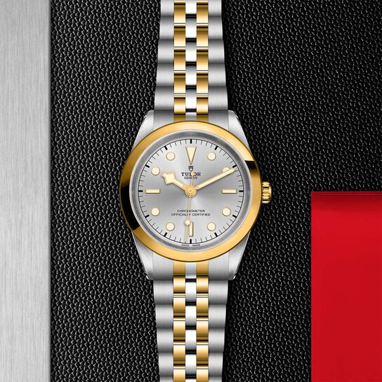 Tudor Black Bay 41 S&G M79683-0002 image number 2