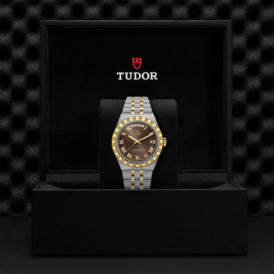TUDOR Royal 40 mm automatique en acier inoxydable et or jaune image number 3