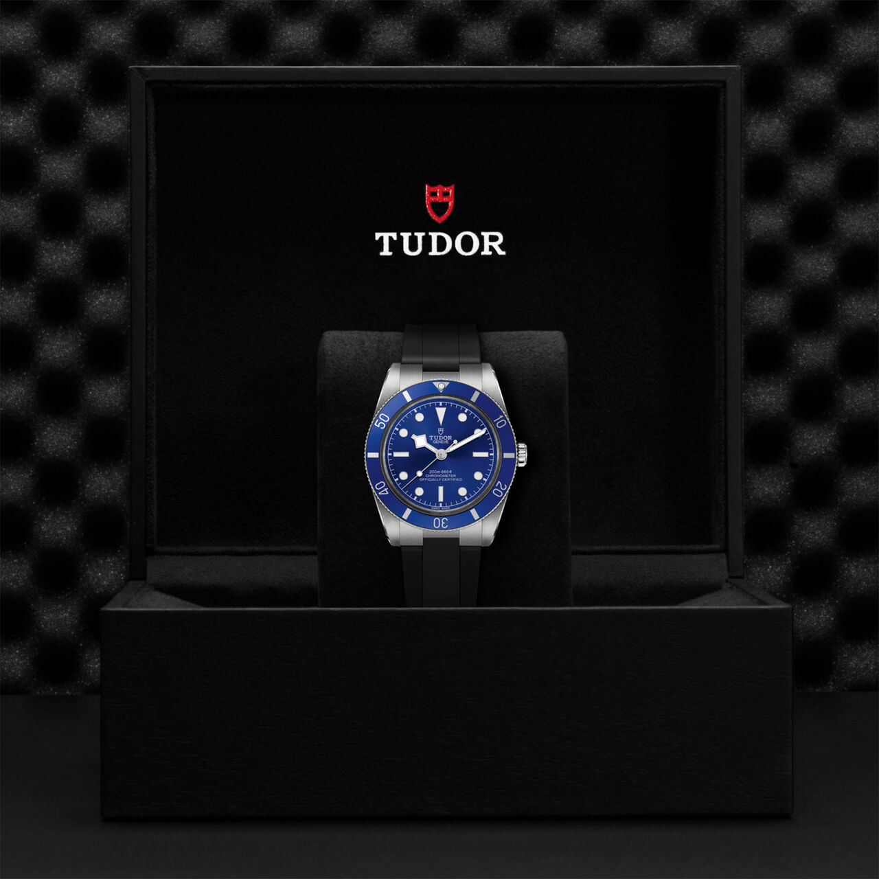 TUDOR Black Bay 54 Automatic 37 mm Stainless Steel image number 1