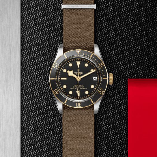 Black Bay S&G image number 2