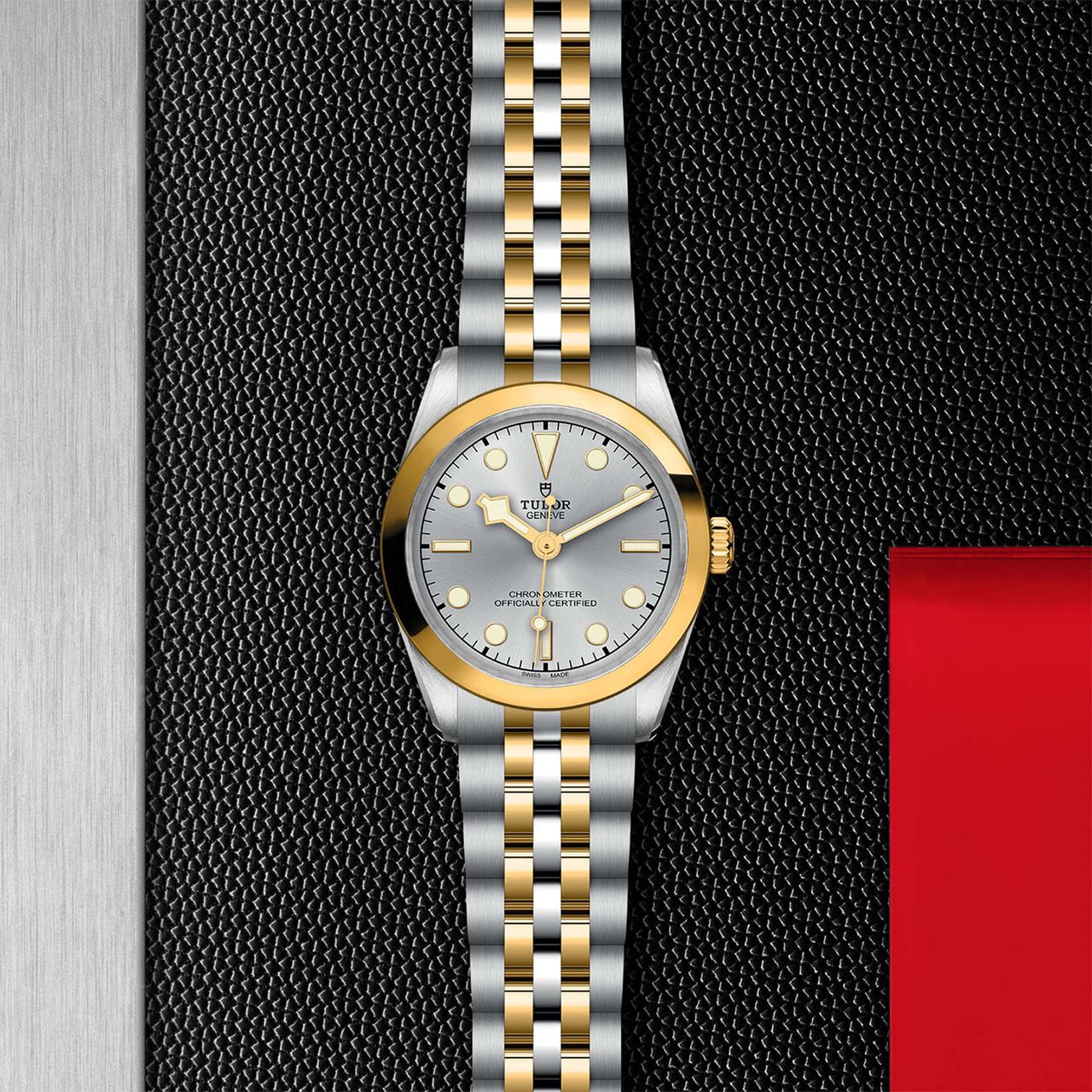 Tudor Black Bay 31 S&G M79603-0002 image number 2