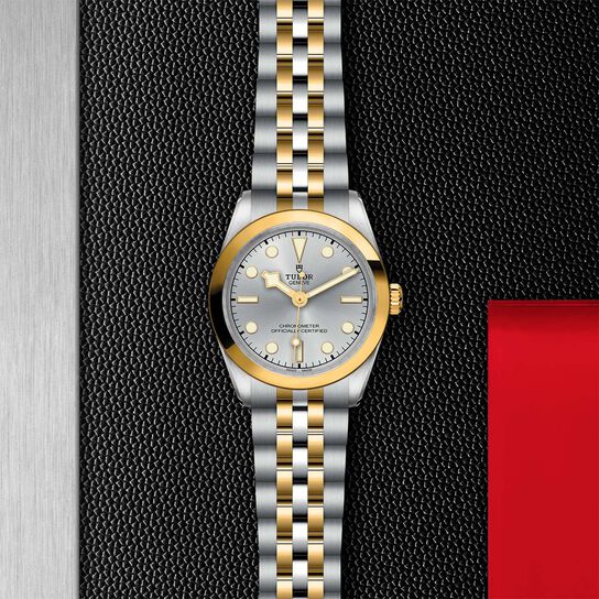 Tudor Black Bay 31 S&G M79603-0002 image number 2