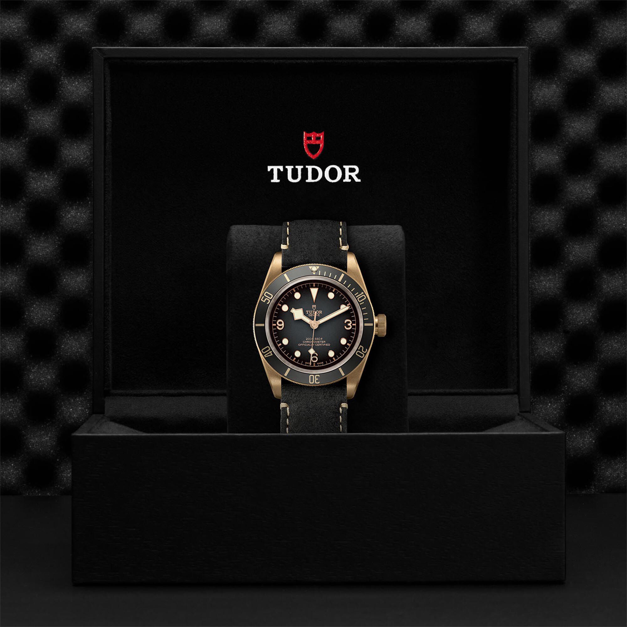 Tudor black best sale bay bronze 79250ba