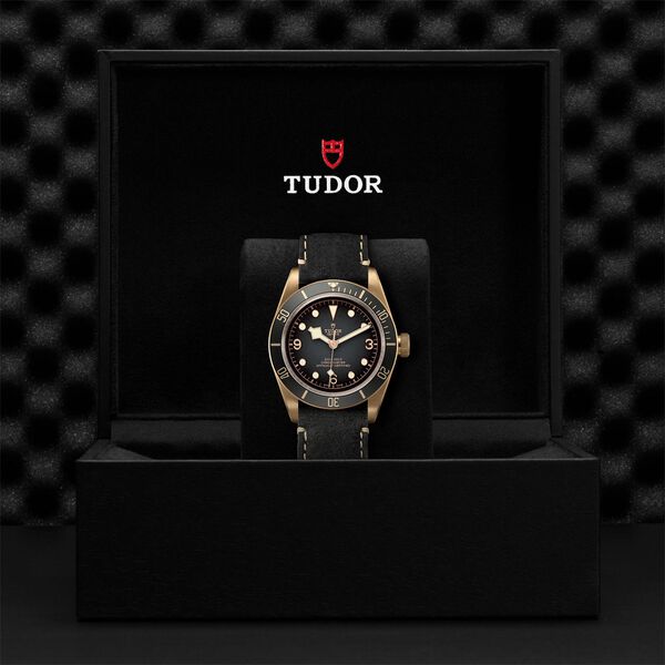 Black Bay 43 mm automatique en bronze