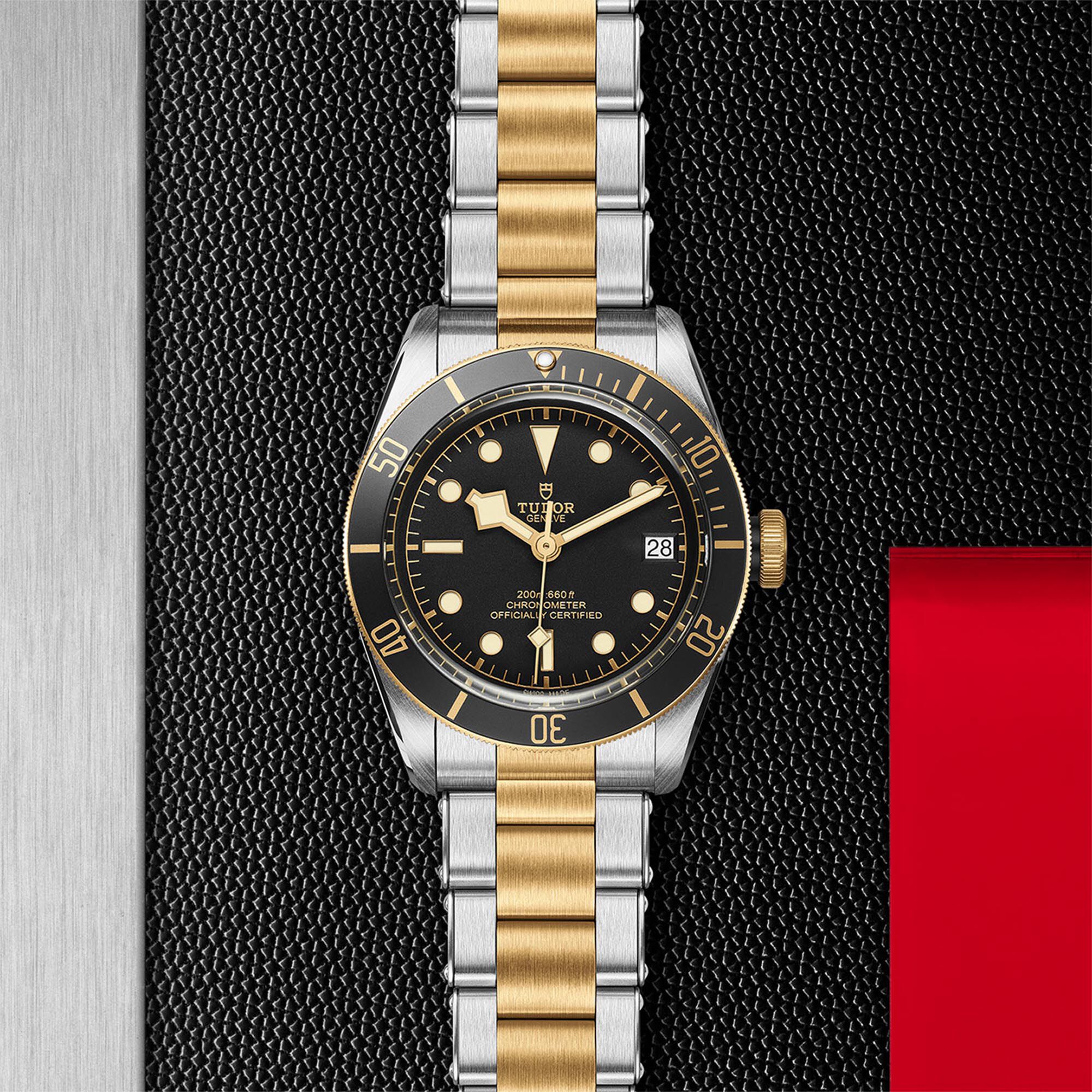 Tudor Black Bay S G M79733N 0008 Maison Birks
