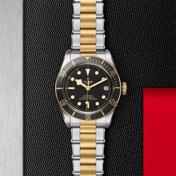 Black Bay Automatic 41 mm Yellow Gold and Stainless Steel