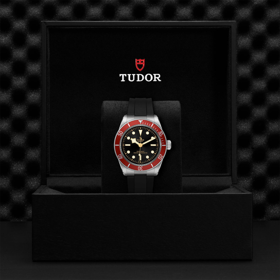 Tudor Black Bay M7941A1A0RU-000 Box image number 4
