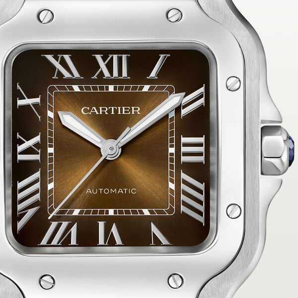 Santos de Cartier Medium Automatic 35mm Stainless Steel