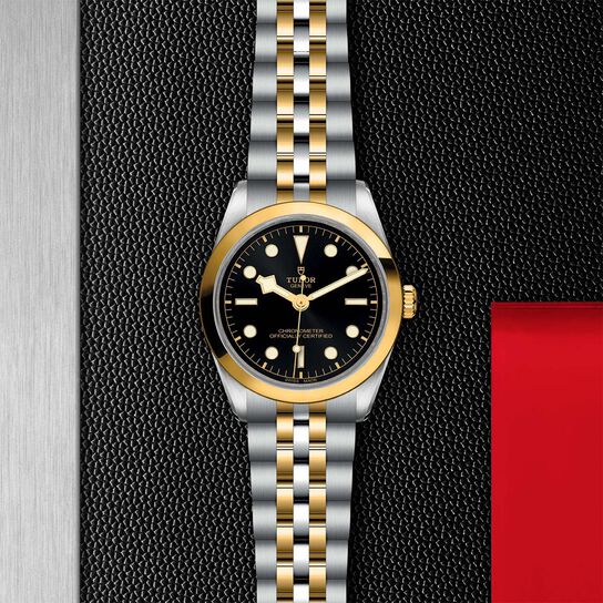 Tudor Black Bay 36 S&G M79643-0001 image number 2
