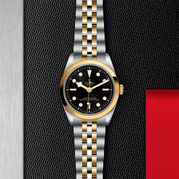 Black Bay 36 mm automatique en or jaune et acier inoxydable