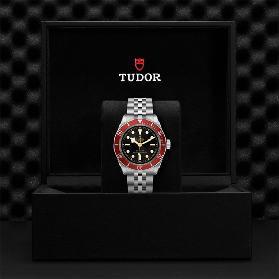 Tudor Black Bay M7941A1A0RU-0003 Box image number 3