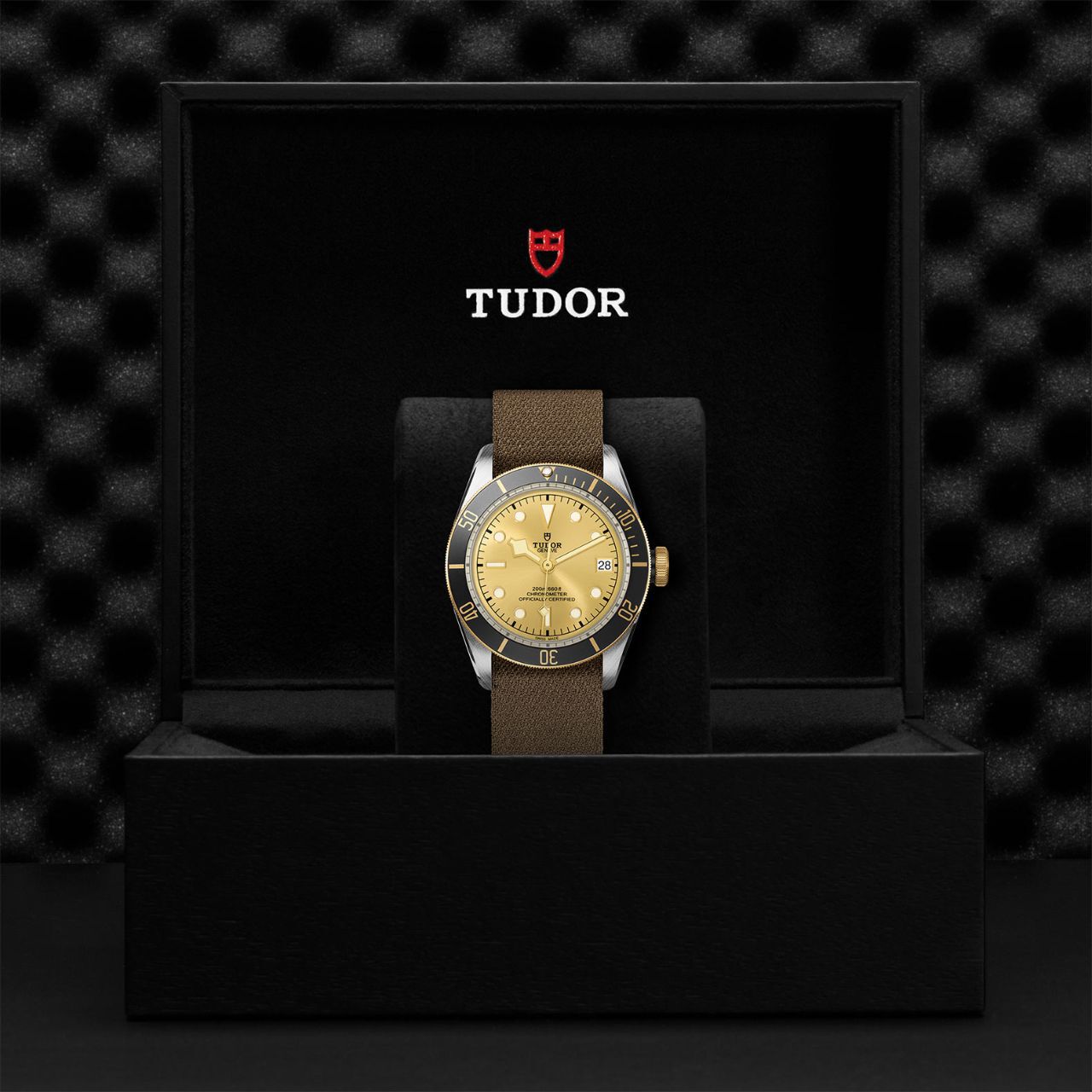 Tudor Black Bay S&G M79733N-0006 Box image number 2