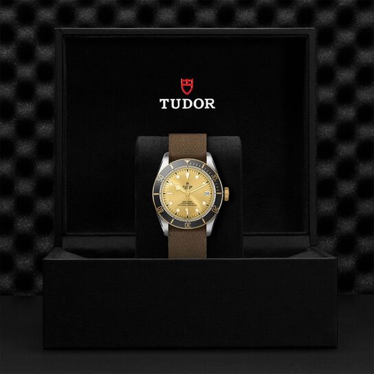 Tudor Black Bay S&G M79733N-0006 Box image number 2