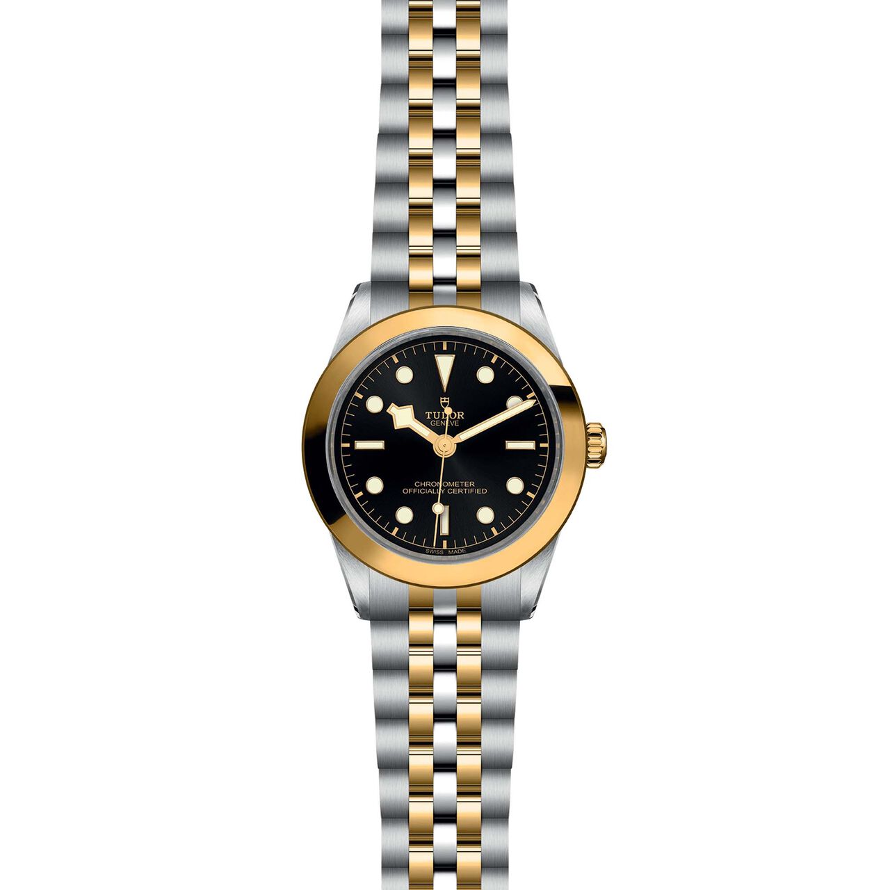 Tudor Black Bay 39 S&G M79663-0001 image number 1