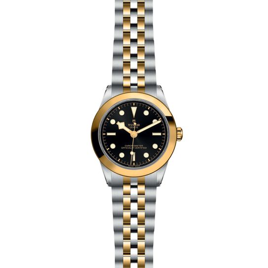 Tudor Black Bay 39 S&G M79663-0001 image number 1