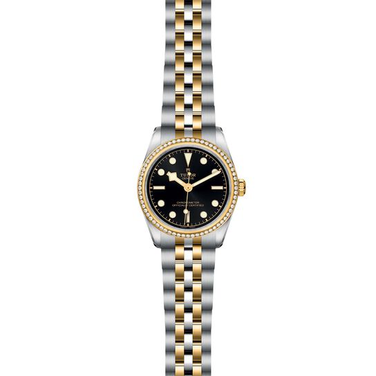 Tudor Black Bay 31 S&G M79613-0001 image number 1