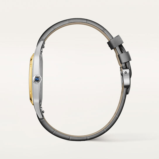 Cartier Santos-Dumont Large Quartz 43 X 31 mm Yellow Gold and Stainless Steel W2SA0046 front image number 3
