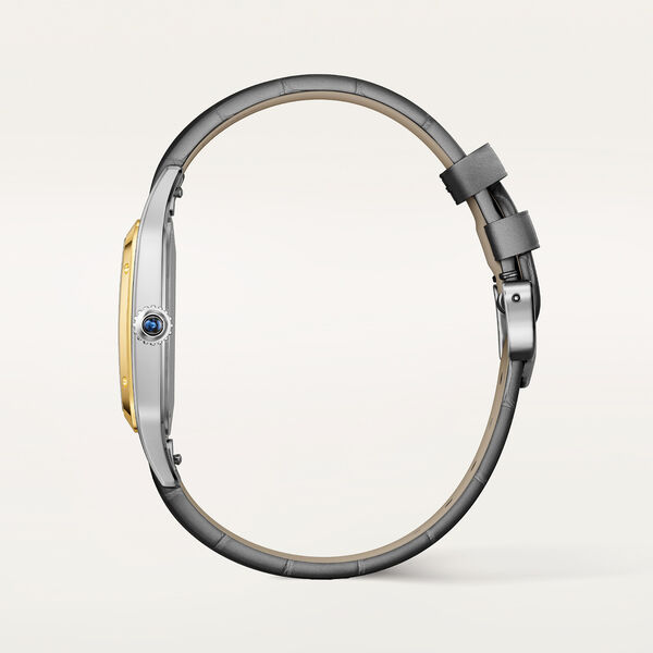 Santos-Dumont Large Quartz 43 X 31 mm Yellow Gold and Stainless Steel