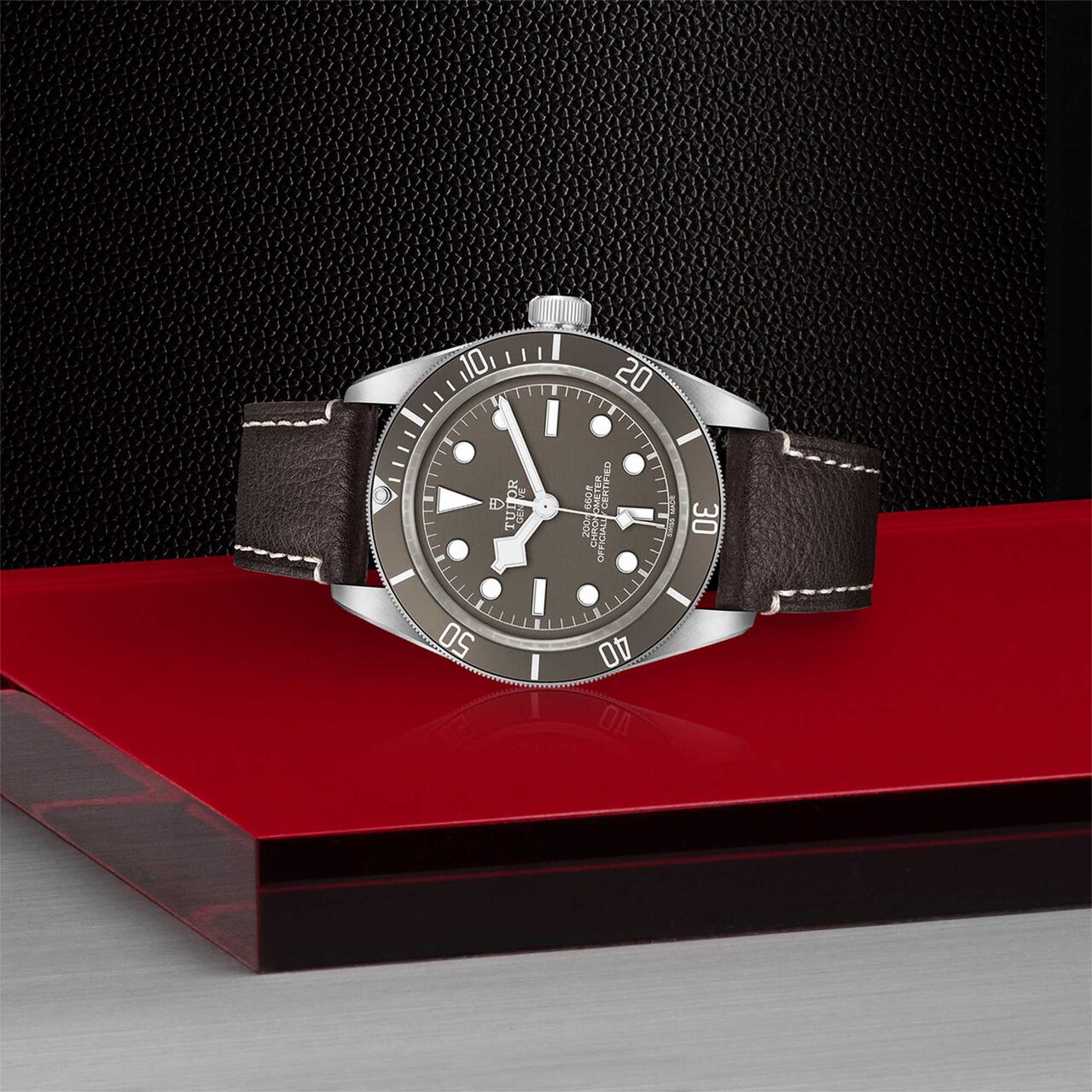 Tudor Black Bay Fifty-Eight 925 39MM Silver Case image number 3