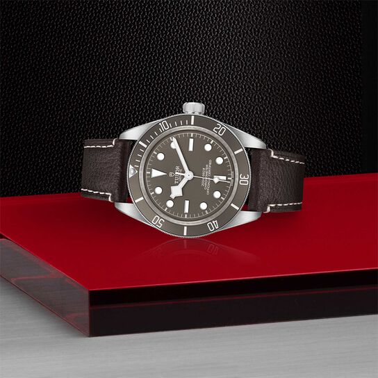 Tudor Black Bay Fifty-Eight 925 39MM Silver Case image number 3