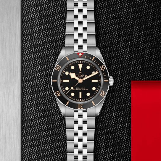 TUDOR Black Bay 58 Automatic 39 mm Stainless Steel image number 1