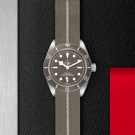  Taupe Fabric Strap image number 2
