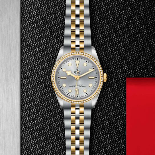 Tudor Black Bay 36 S&G M79653-0002 image number 2