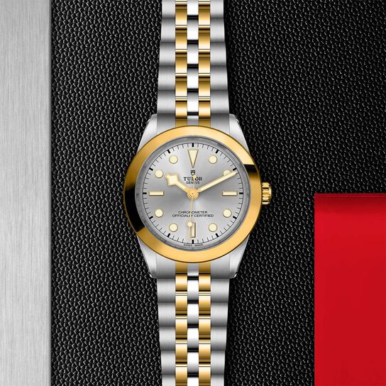 Tudor Black Bay 39 S&G M79663-0002 image number 2