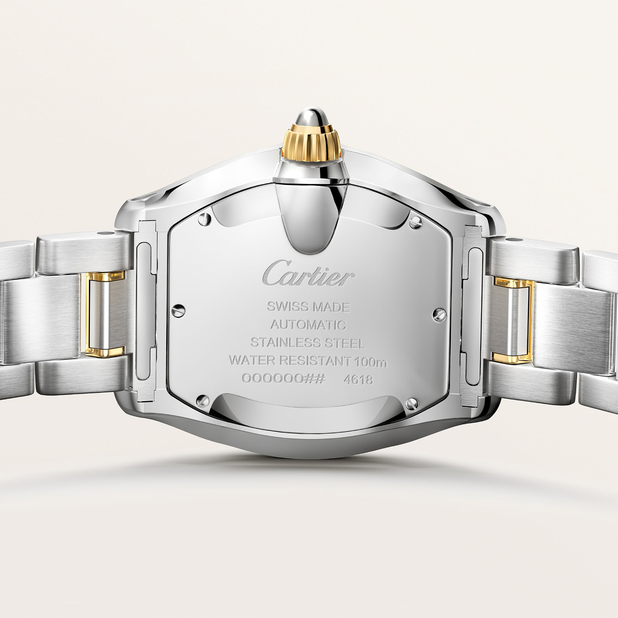 Roadster Medium Automatic 42 X 35 mm Yellow Gold and Stainless Steel