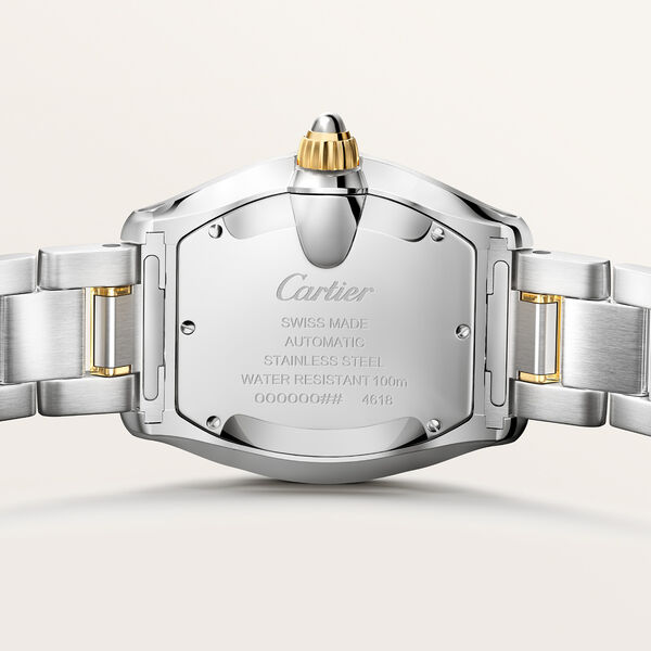 Roadster Medium Automatic 42 X 35 mm Yellow Gold and Stainless Steel