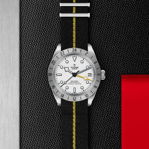 Black Bay Pro 39 mm GMT automatique en acier inoxydable