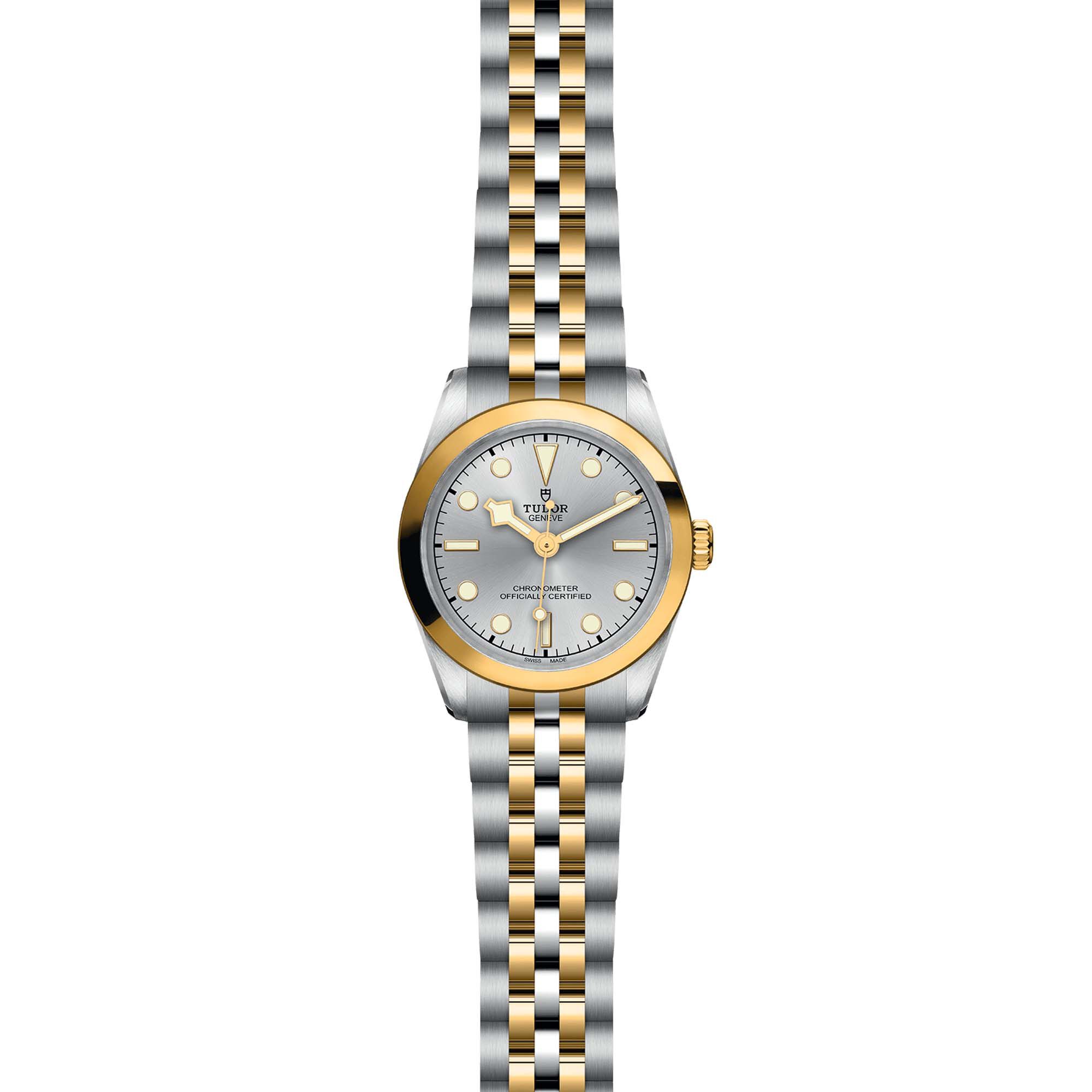 Tudor Black Bay 31 S G M79603 0002 Maison Birks