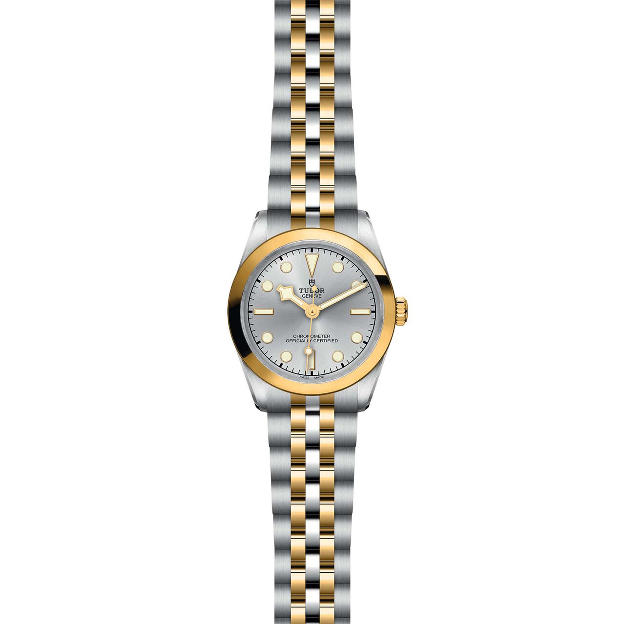 Tudor Black Bay 31 S&G M79603-0002 image number 1
