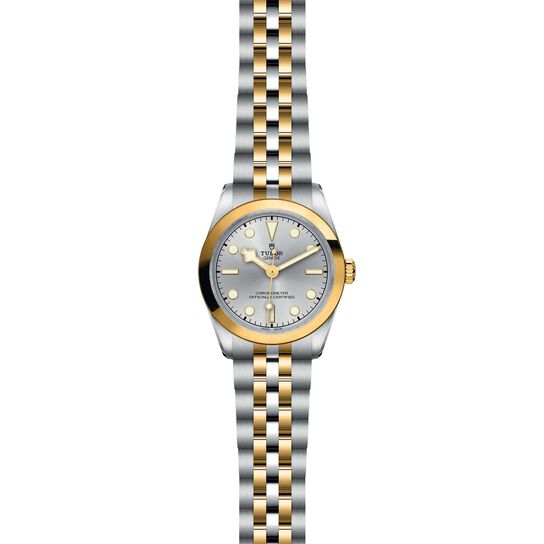Tudor Black Bay 31 S&G M79603-0002 image number 1
