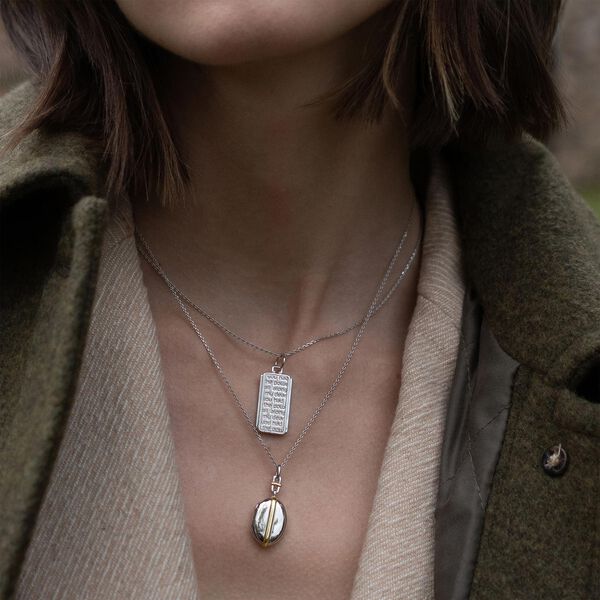 M&eacute;daillon Slim Lockets Tess en or jaune et argent