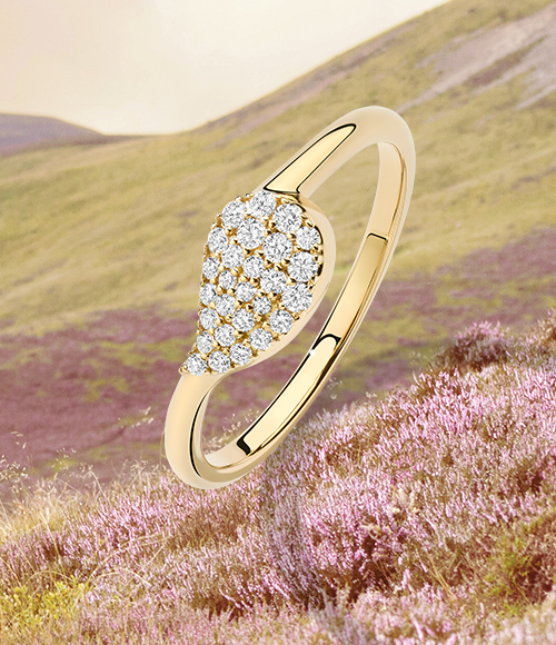 A diamond and gold ring sits on top of an image of wildflowers blooming on hillside.