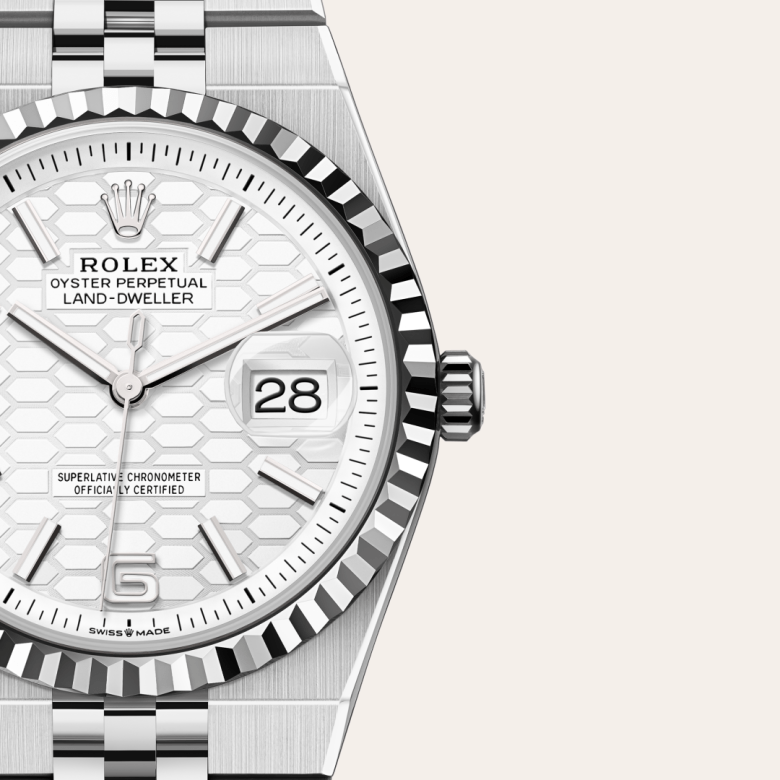 rolex Land-Dweller in White Rolesor, M127234-0001 - Maison Birks