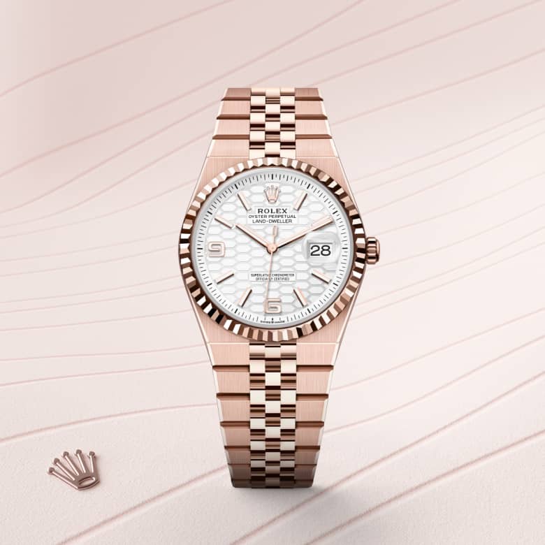 rolex Land-Dweller in 18 ct Everose gold, M127235-0001 - Maison Birks