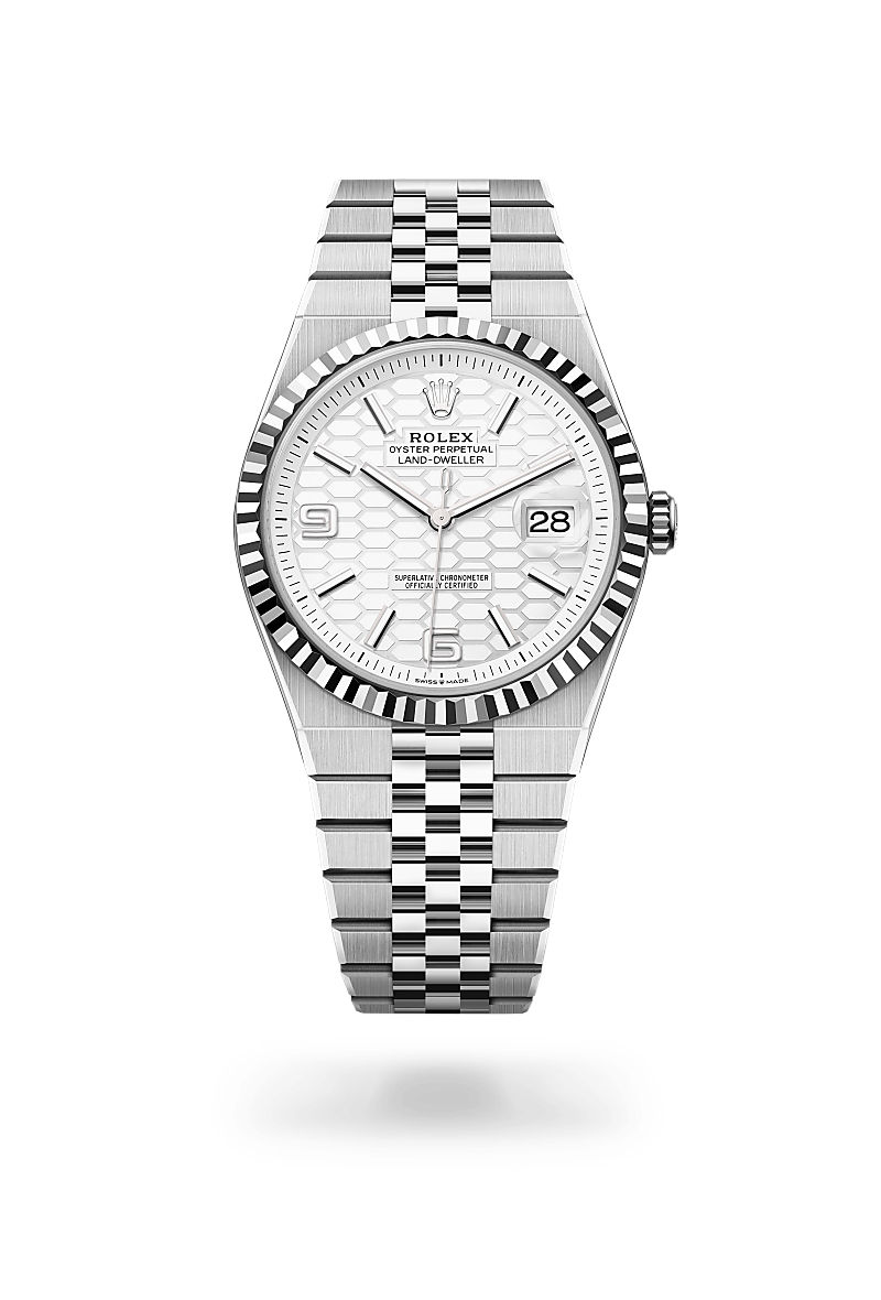 rolex Land-Dweller in White Rolesor, M127334-0001 - Maison Birks