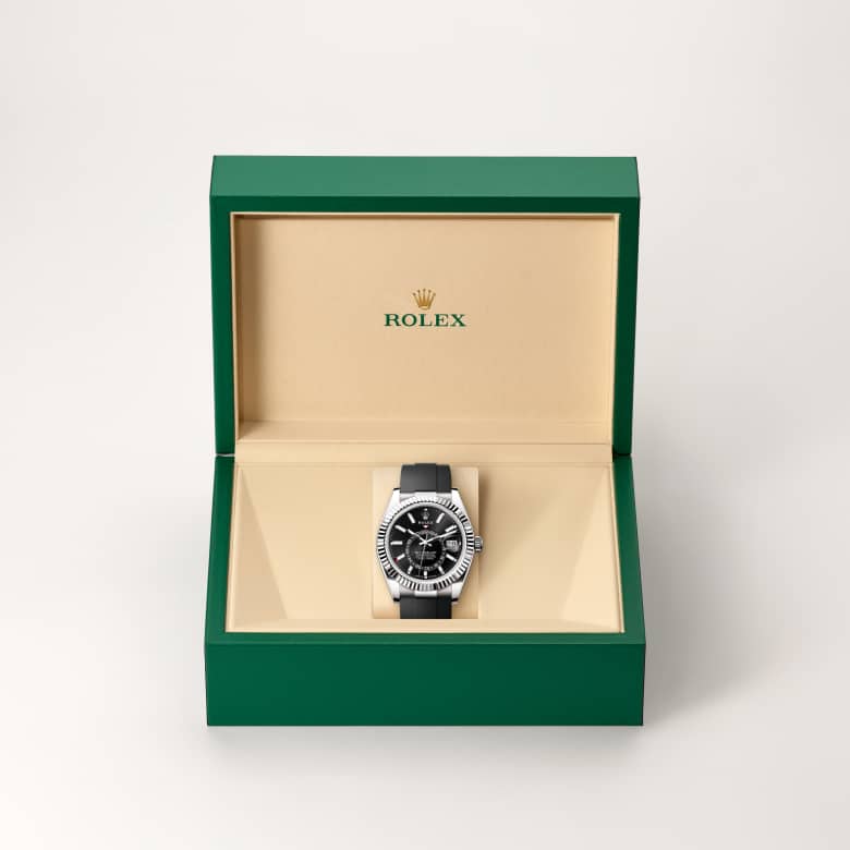 rolex Sky-Dweller in 18 ct white gold, M336239-0002 - Maison Birks