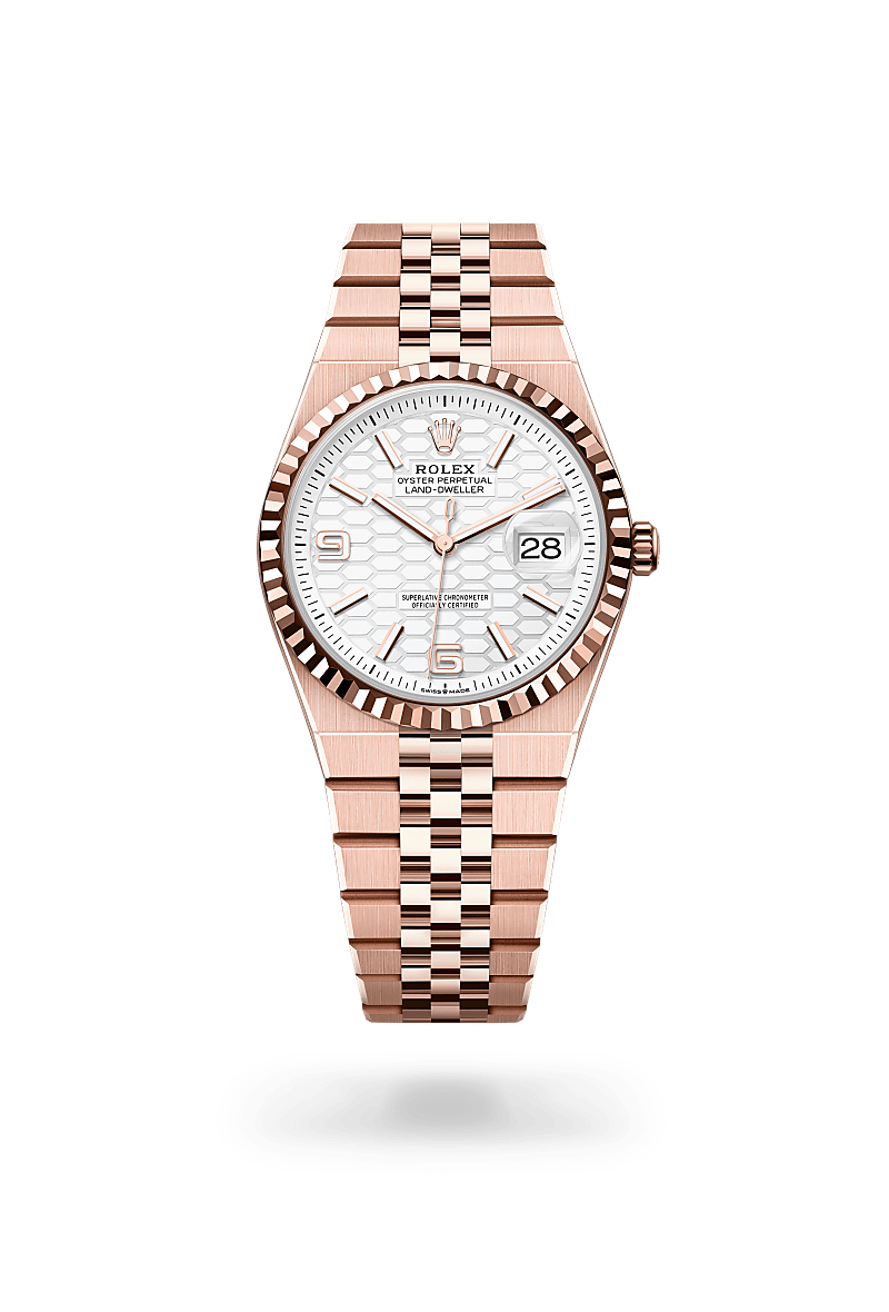 rolex Land-Dweller in 18 ct Everose gold, M127235-0001 - Maison Birks