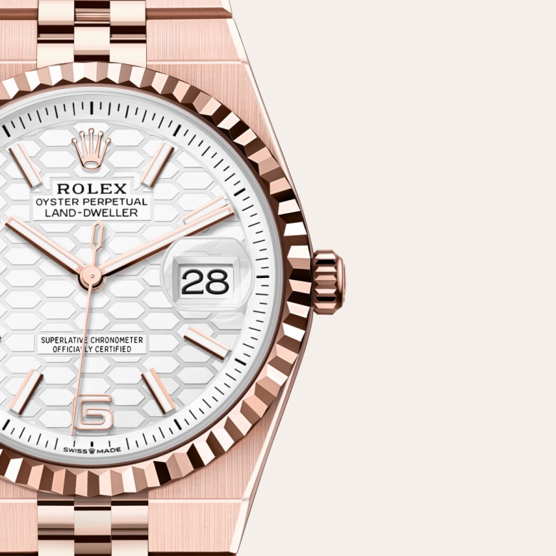rolex Land-Dweller in 18 ct Everose gold, M127235-0001 - Maison Birks