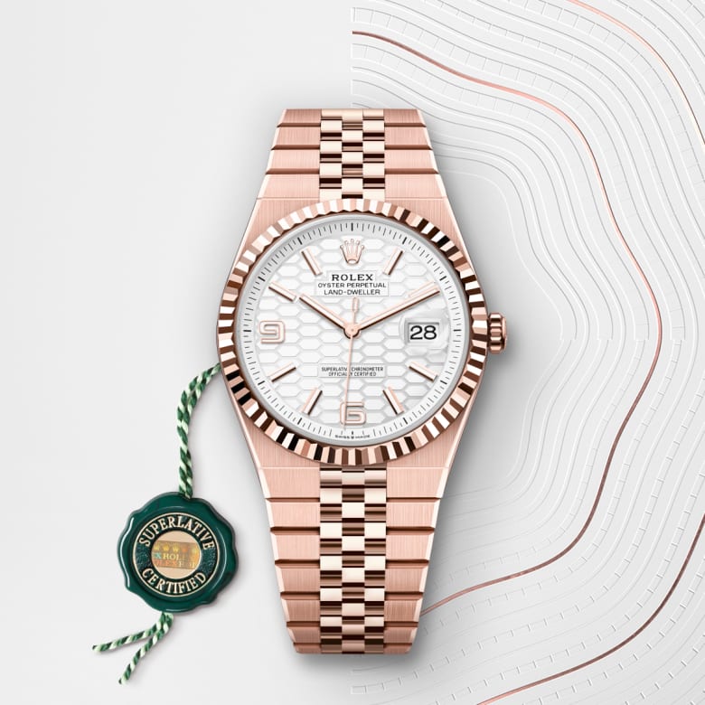 rolex Land-Dweller in 18 ct Everose gold, M127335-0001 - Maison Birks