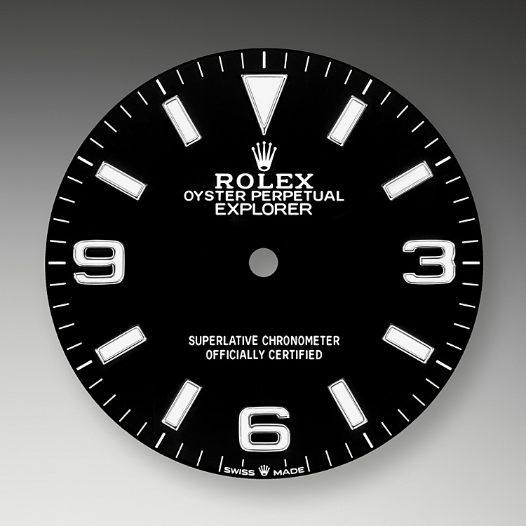 Rolex 2025 explorer dial